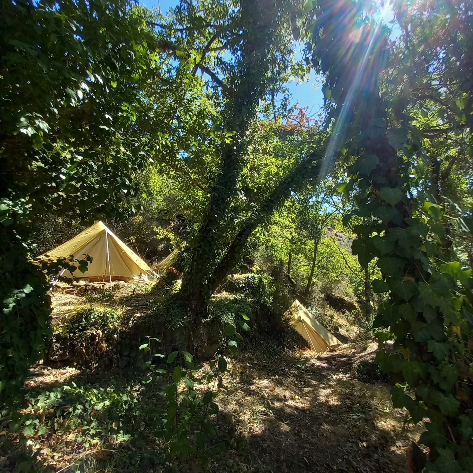 Bell tents and camp vibe